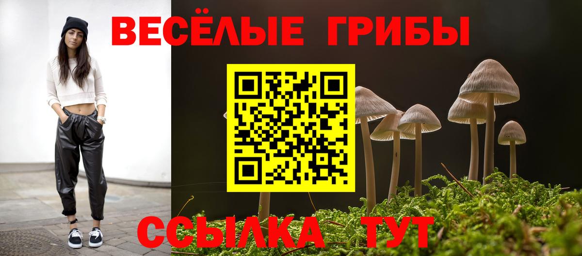 Псилоцибиновые грибы мицелий Ликино-Дулёво