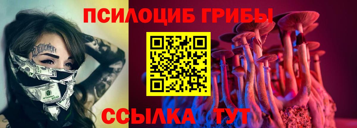 Галлюциногенные грибы GOLDEN TEACHER  Галлюциногенные грибы Psilocybine cubensis  Вход с VPN  Ликино-Дулёво 